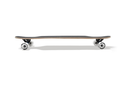 Longboard Palm Prism